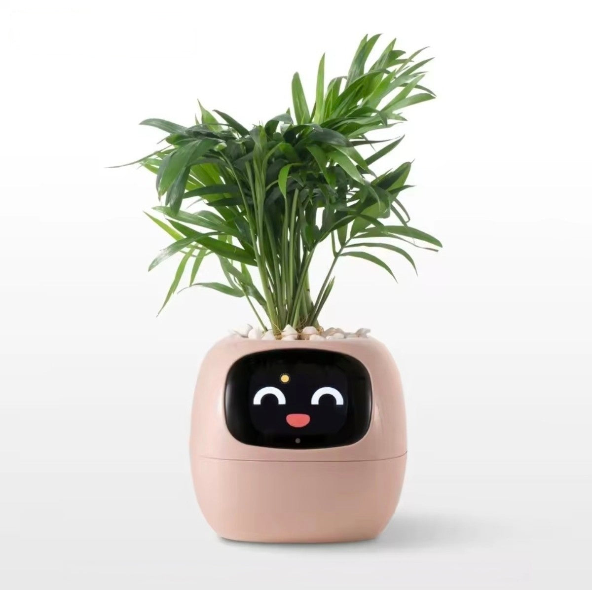 Jardinière Intelligente Tuya Ivy G1 – 7 Capteurs & IA | Blanc