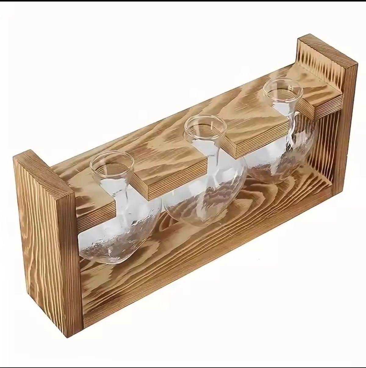 Vase Hydroponique en Verre – Décoration Scandinave