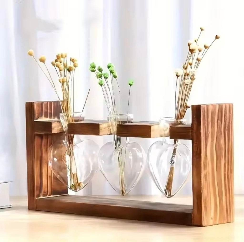 Vase Hydroponique en Verre – Décoration Scandinave