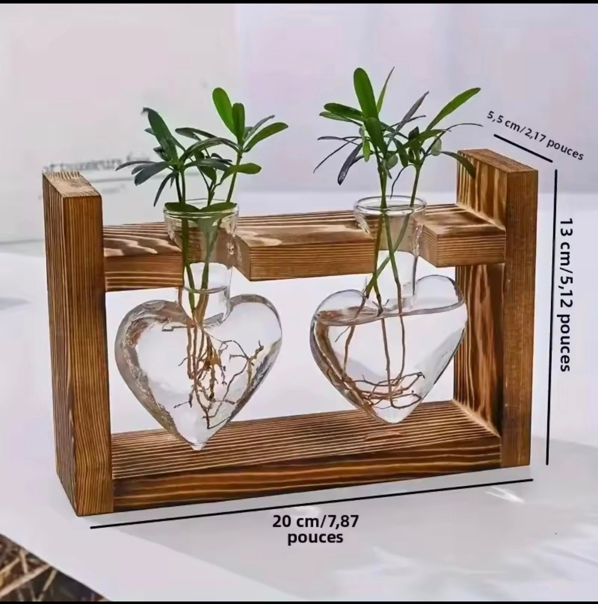 Vase Hydroponique en Verre – Décoration Scandinave