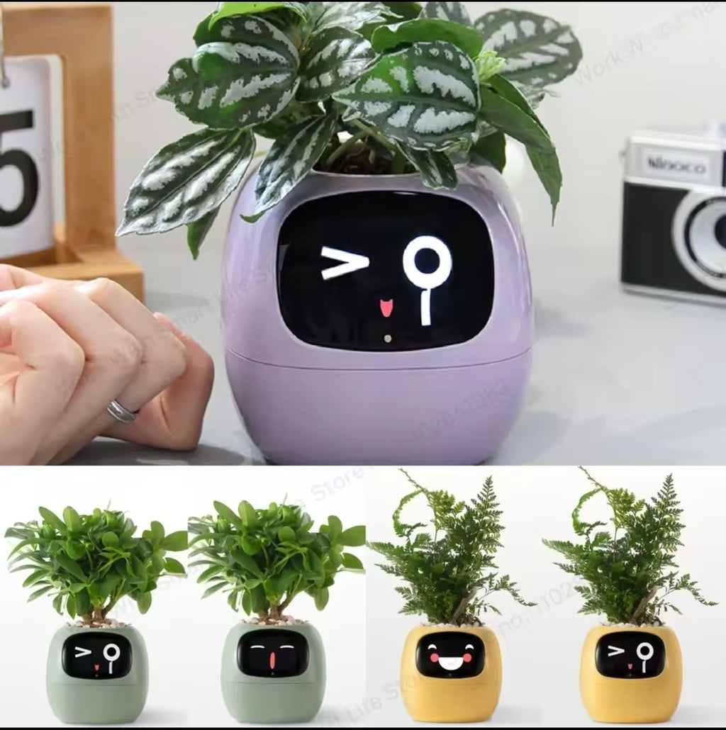 Jardinière Intelligente Tuya Ivy G1 – 7 Capteurs & IA | Blanc