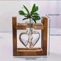 Vase Hydroponique en Verre – Décoration Scandinave
