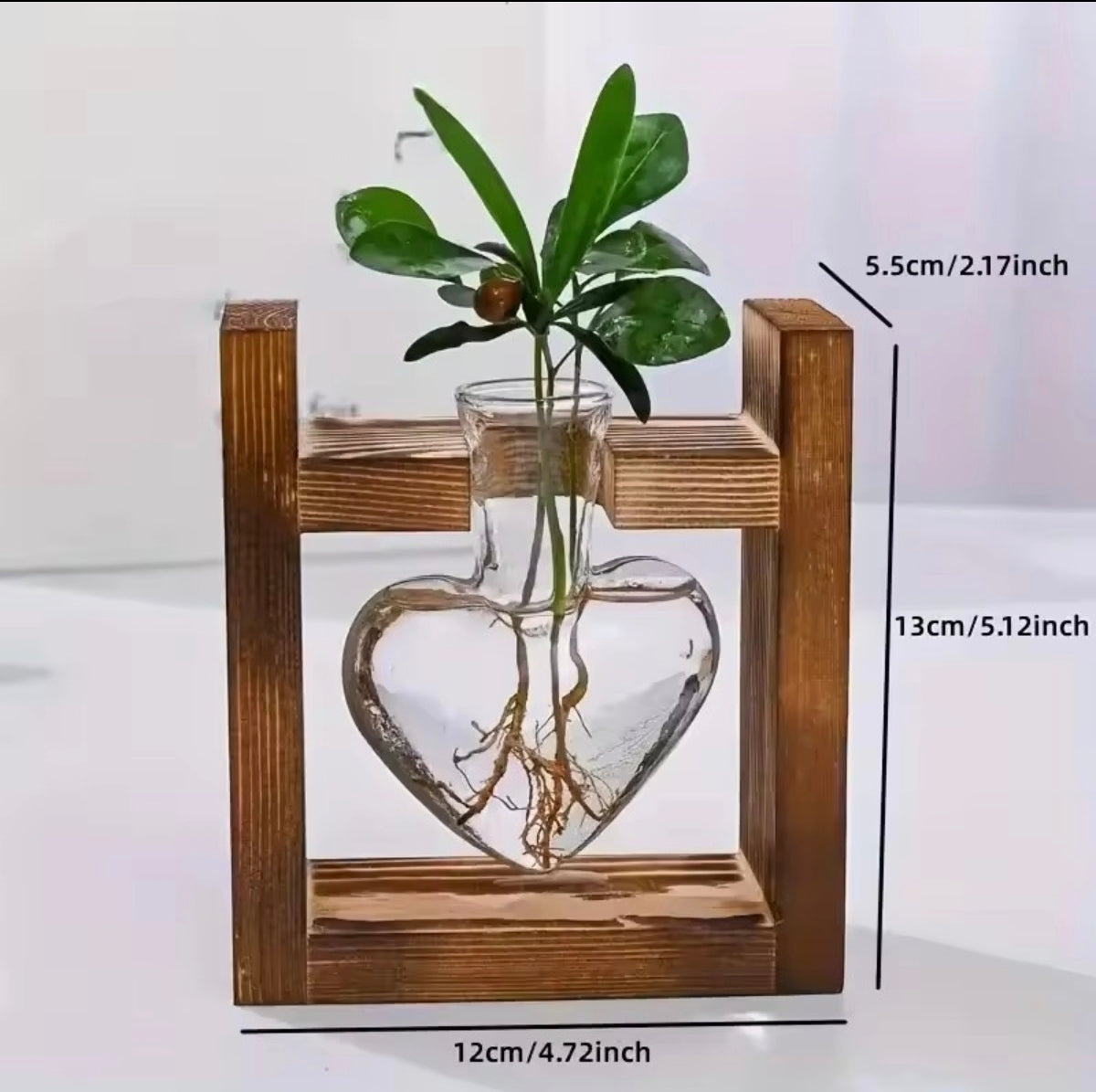 Vase Hydroponique en Verre – Décoration Scandinave