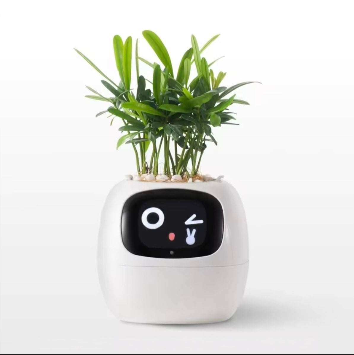 Jardinière Intelligente Tuya Ivy G1 – 7 Capteurs & IA | Blanc