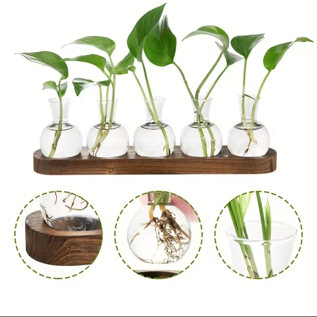 Station de propagation en verre et bois – VerdeForm
