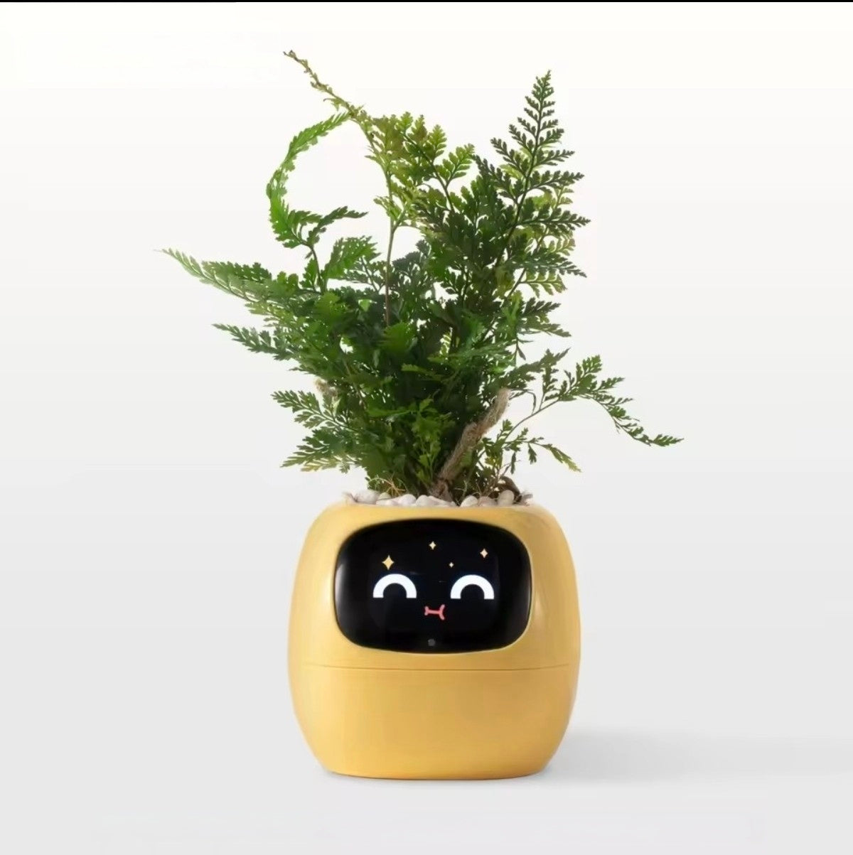 Jardinière Intelligente Tuya Ivy G1 – 7 Capteurs & IA | Blanc
