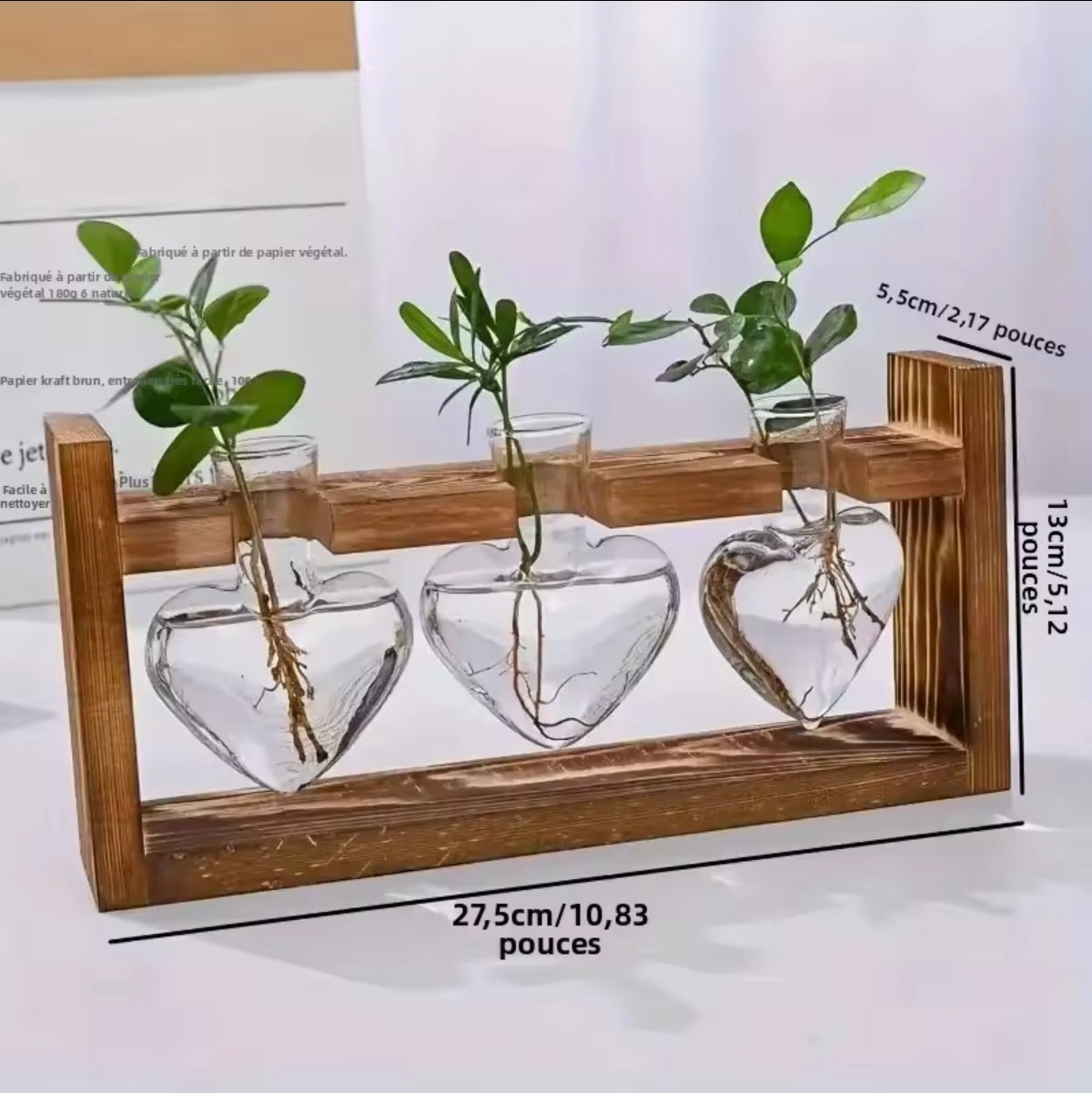 Vase Hydroponique en Verre – Décoration Scandinave