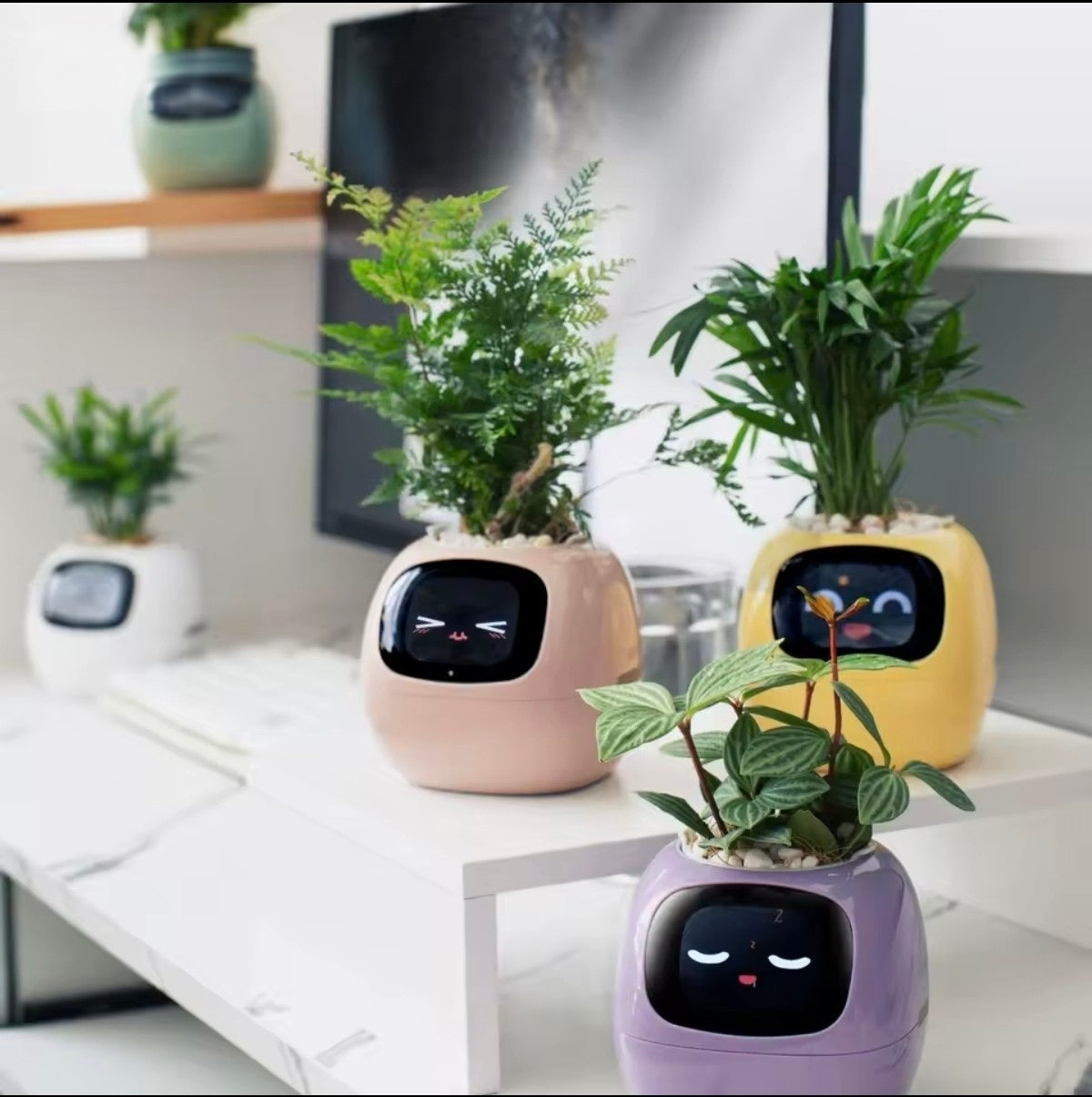 Jardinière Intelligente Tuya Ivy G1 – 7 Capteurs & IA | Blanc